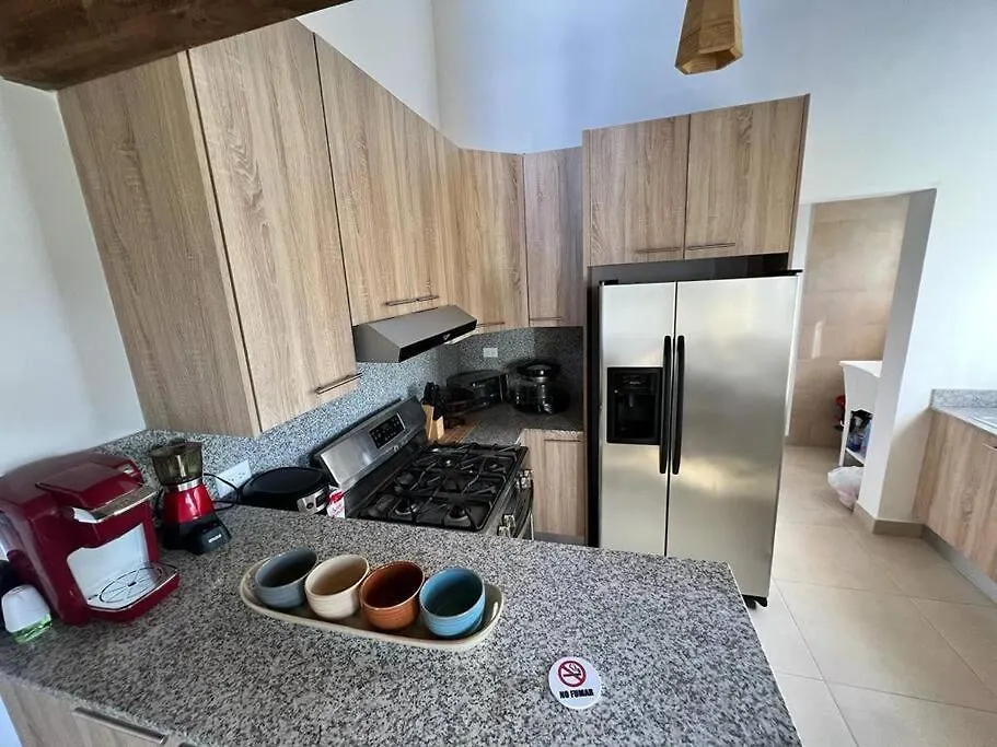 Apartment Armonia De Las Terrenas Gorgeous Penthouse Dominican Republic